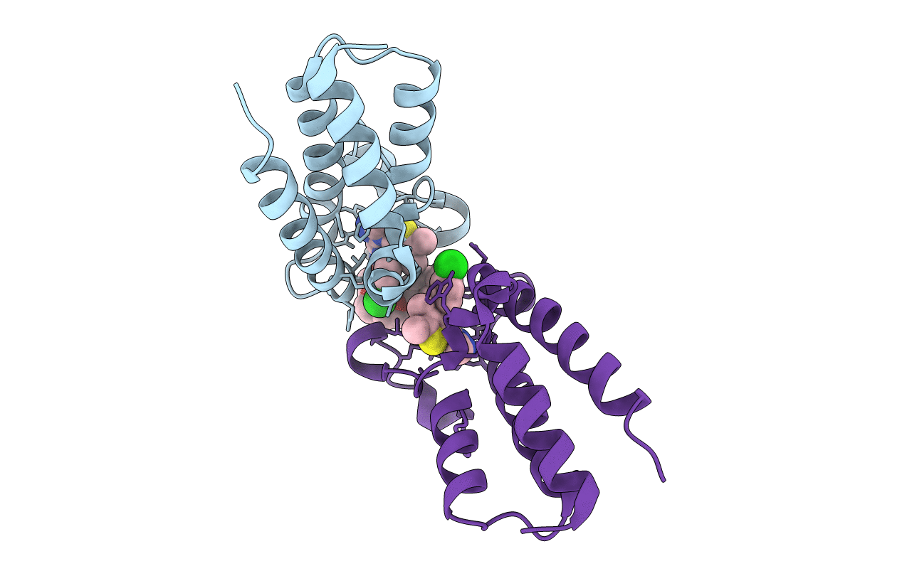 5JWM image