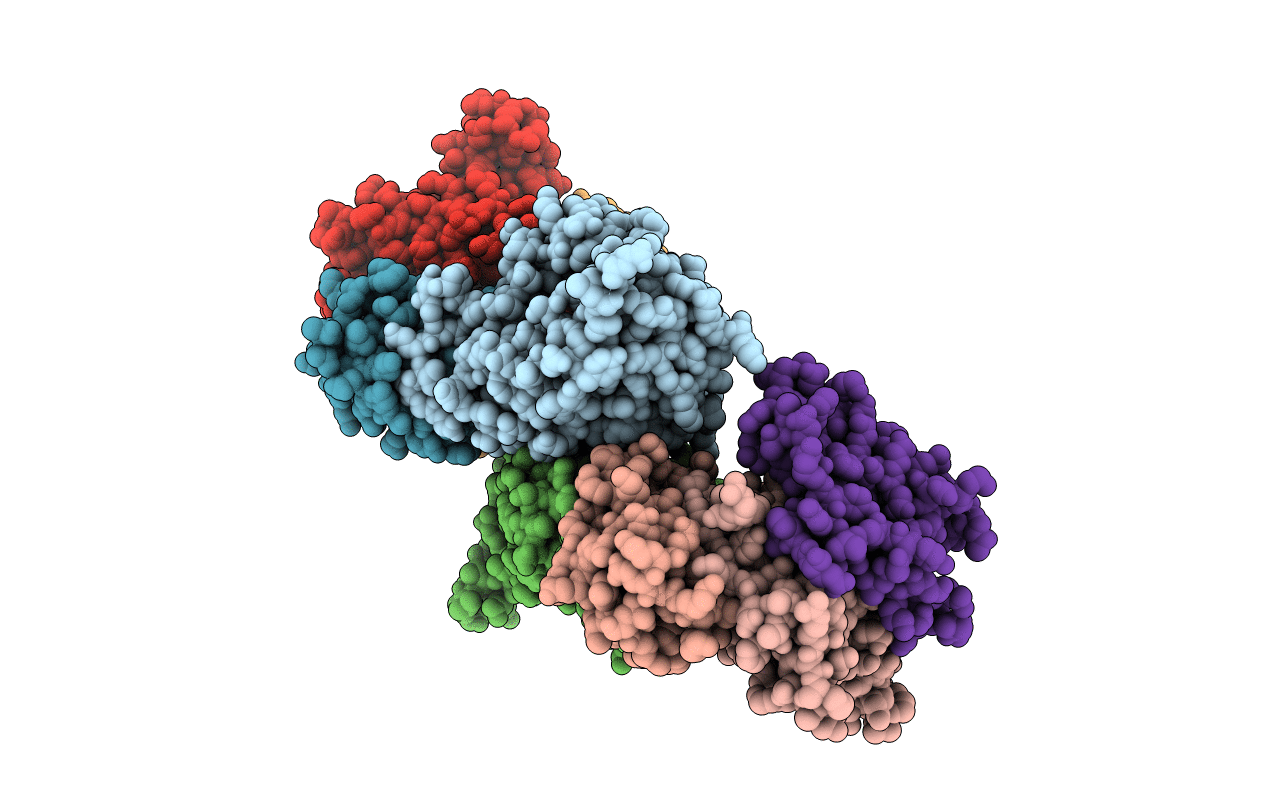 5JWR image