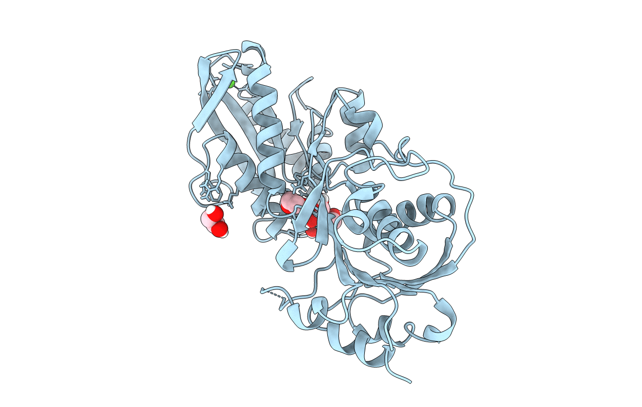 5JX2 image