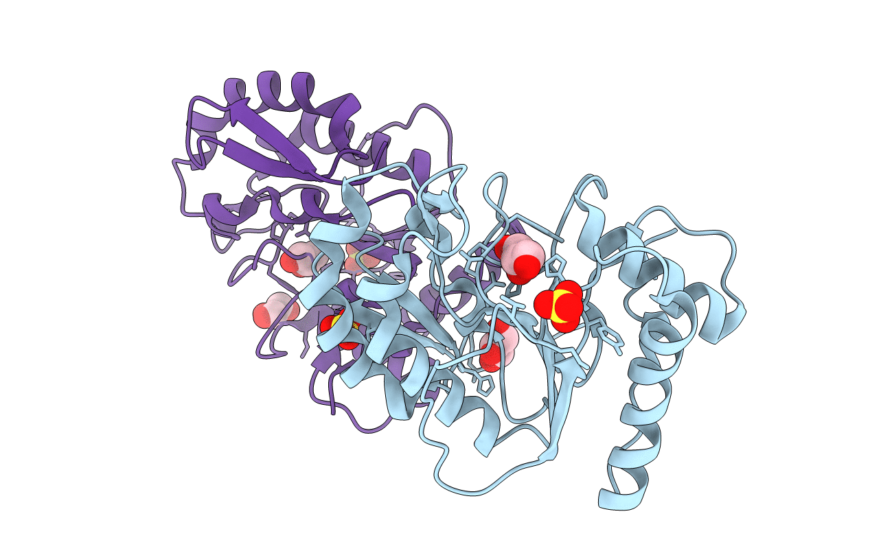 5JX8 image