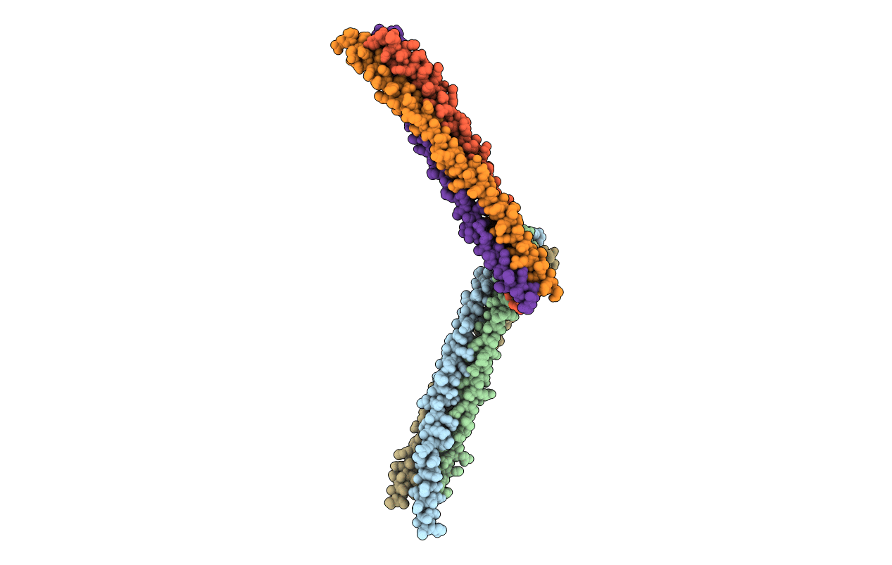 5JXC image