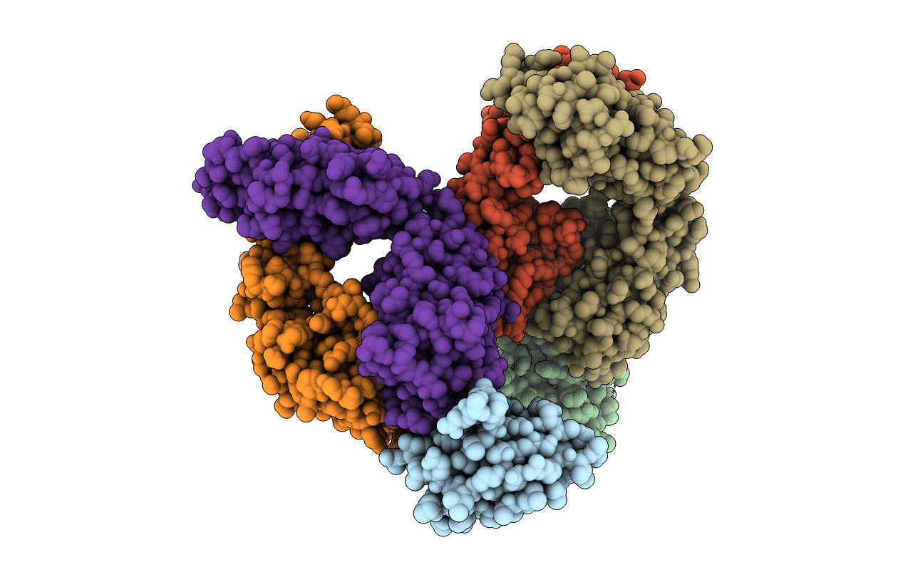 5JXE image