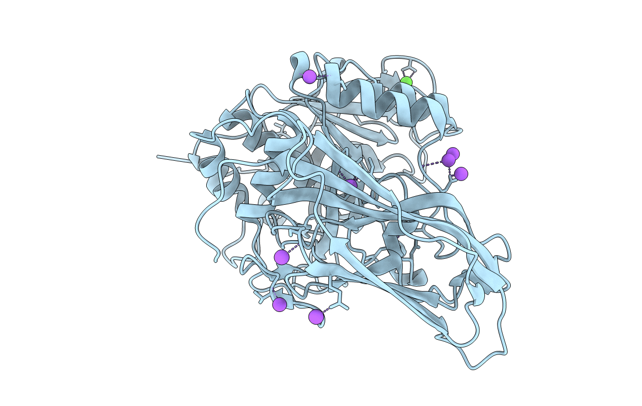 5JXG image