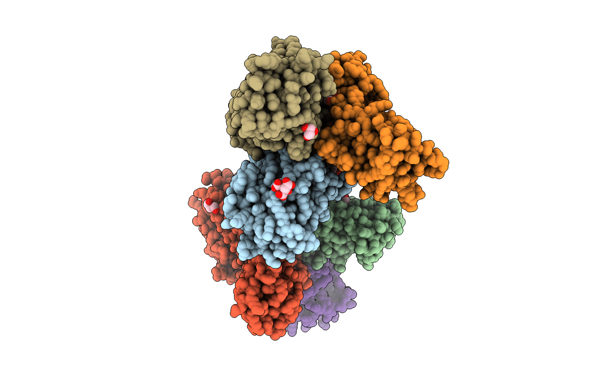 5JXX image