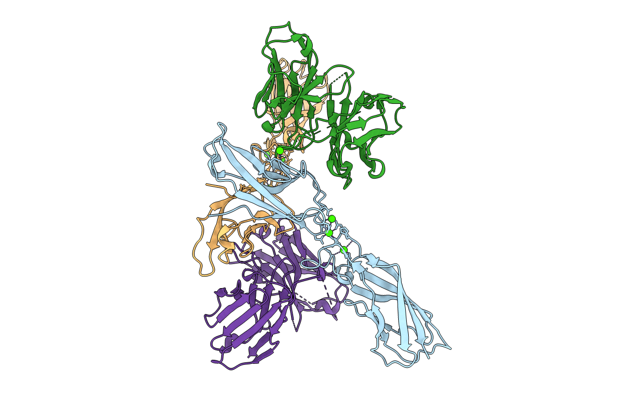5JYM image