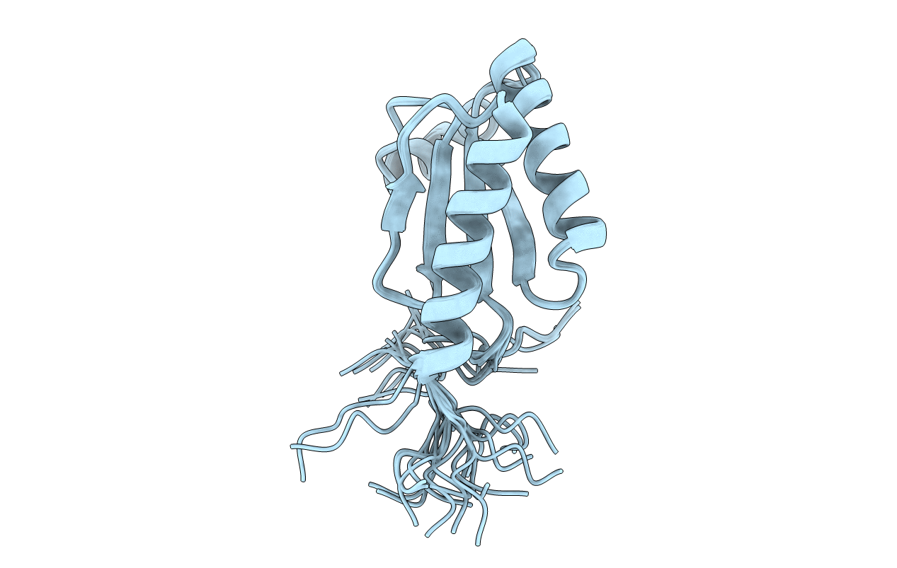 5JYT image