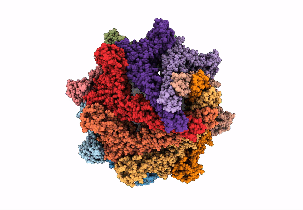 5JZH image