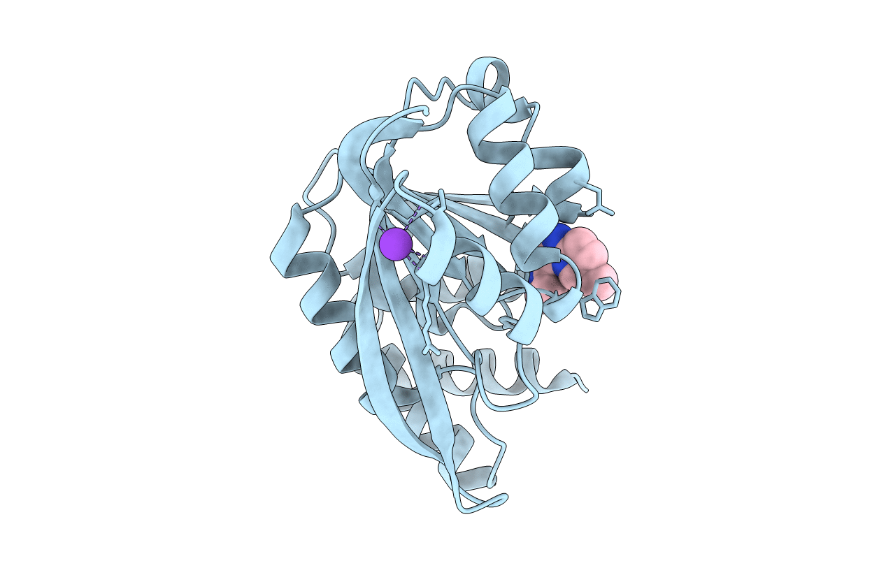 5K03 image