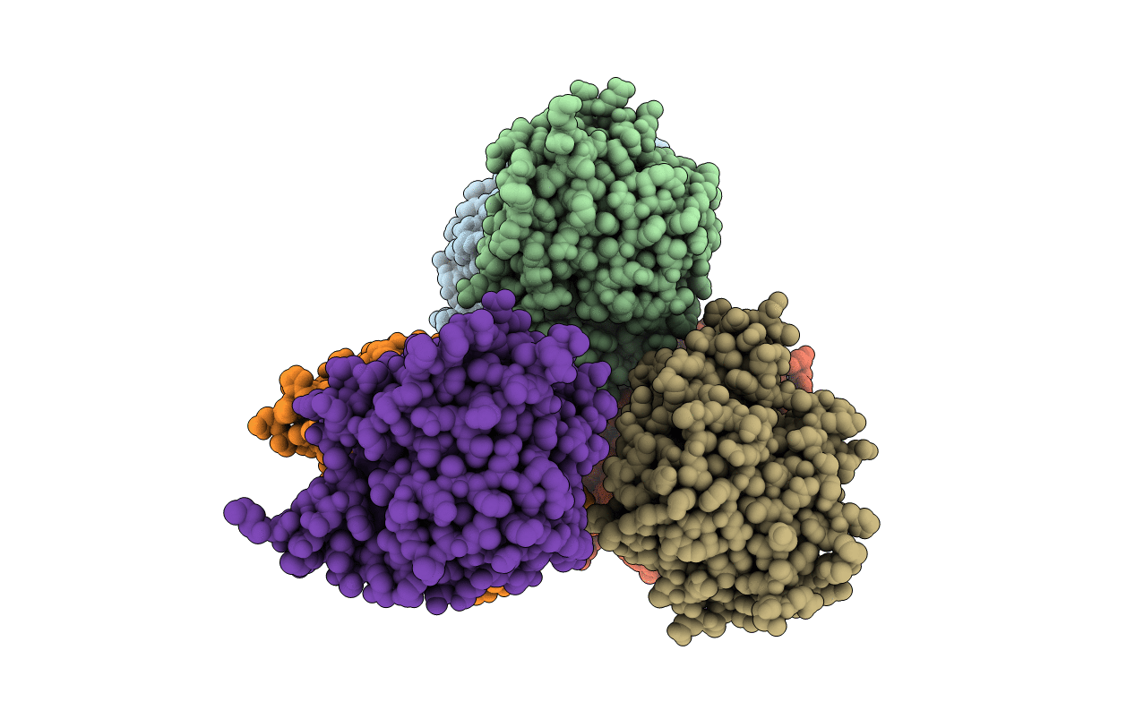 5K4A image