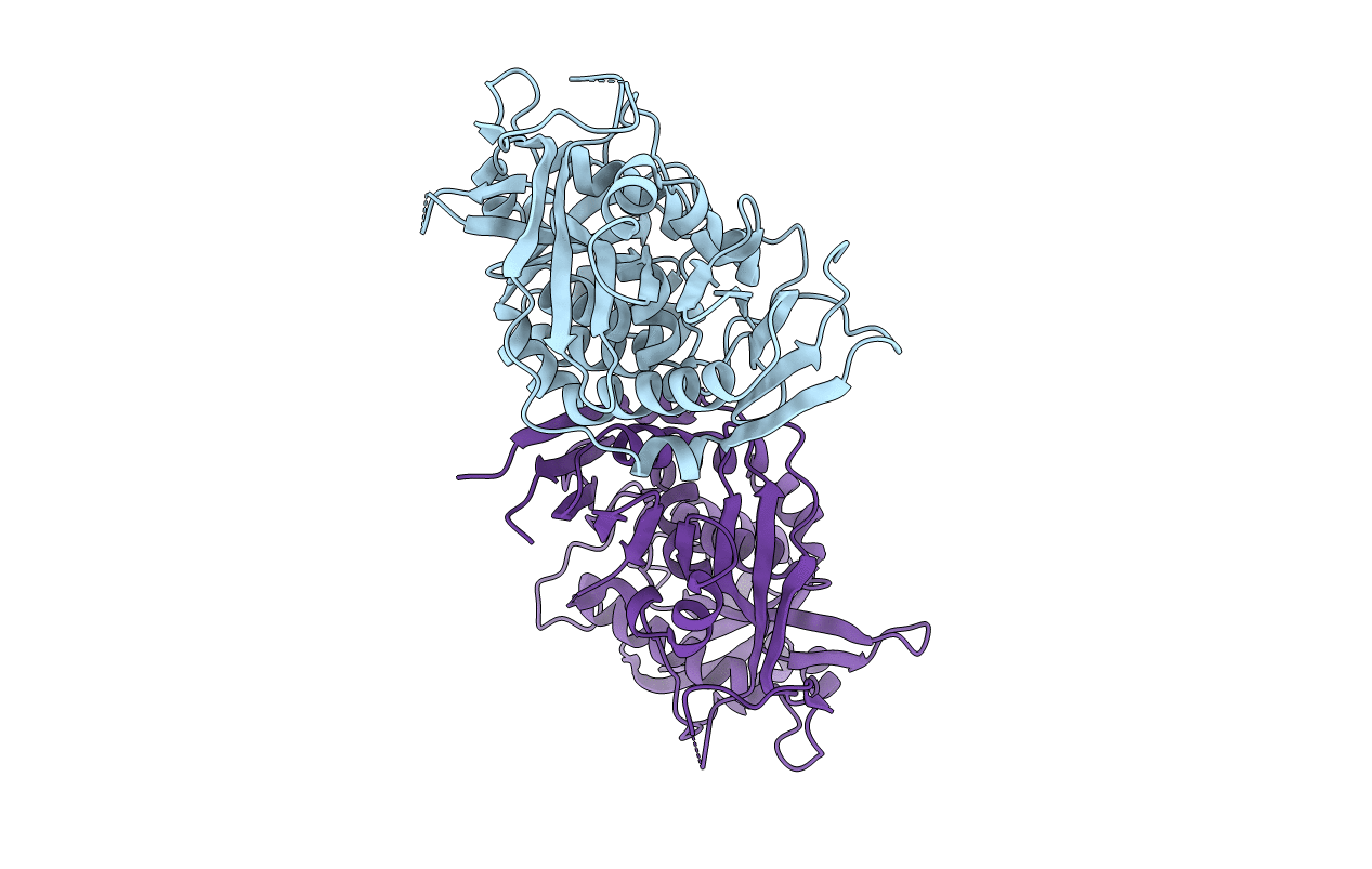 5K4D image