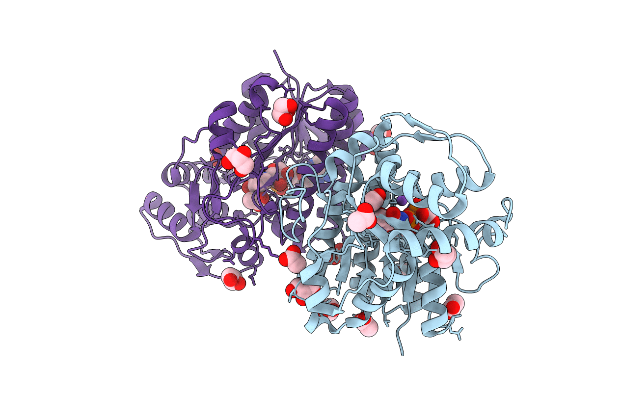 5K4V image
