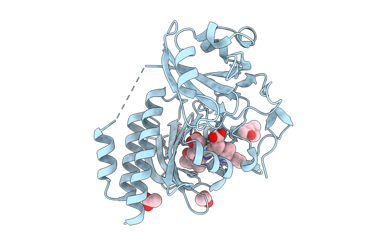 5K5B image