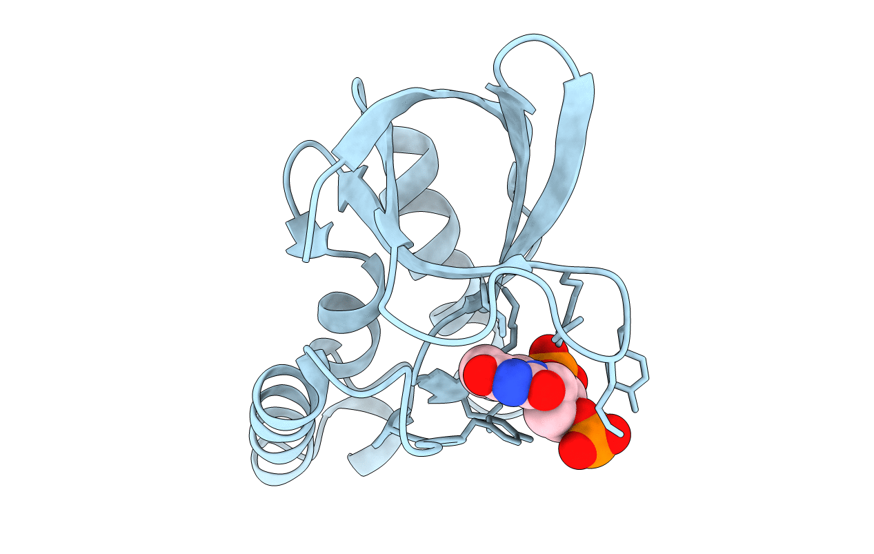 5K5P image