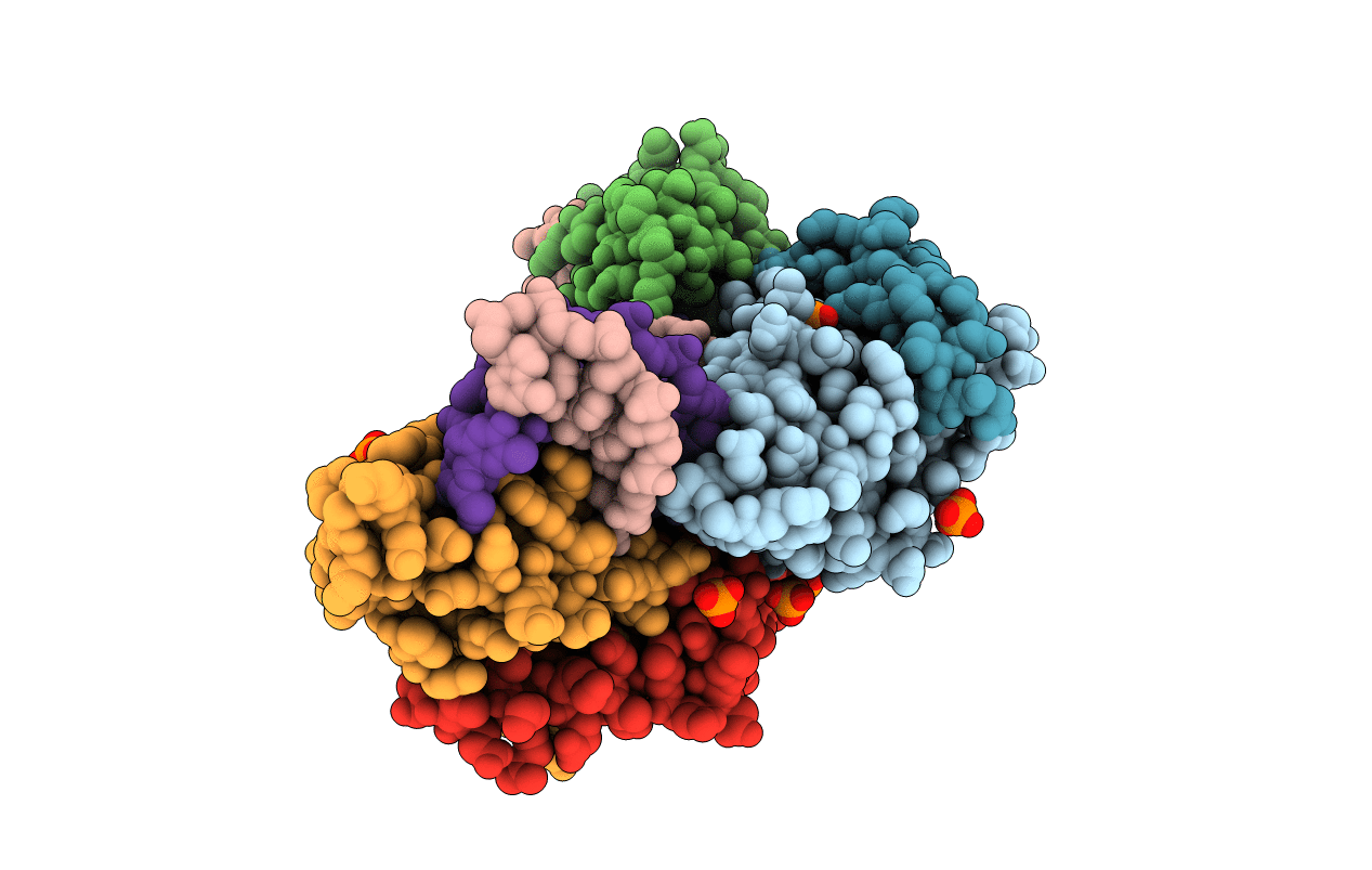 5K5R image