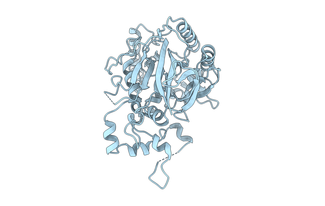 5K5U image