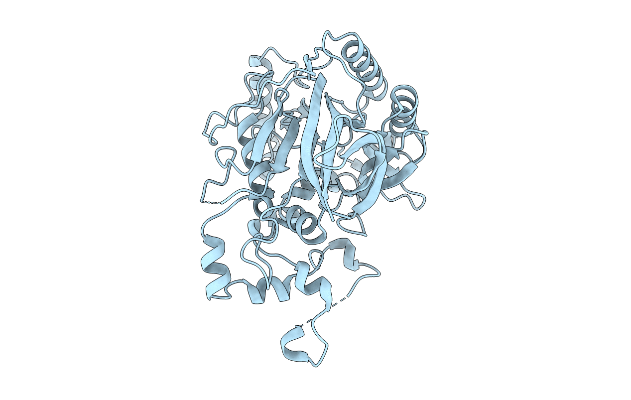 5K5V image