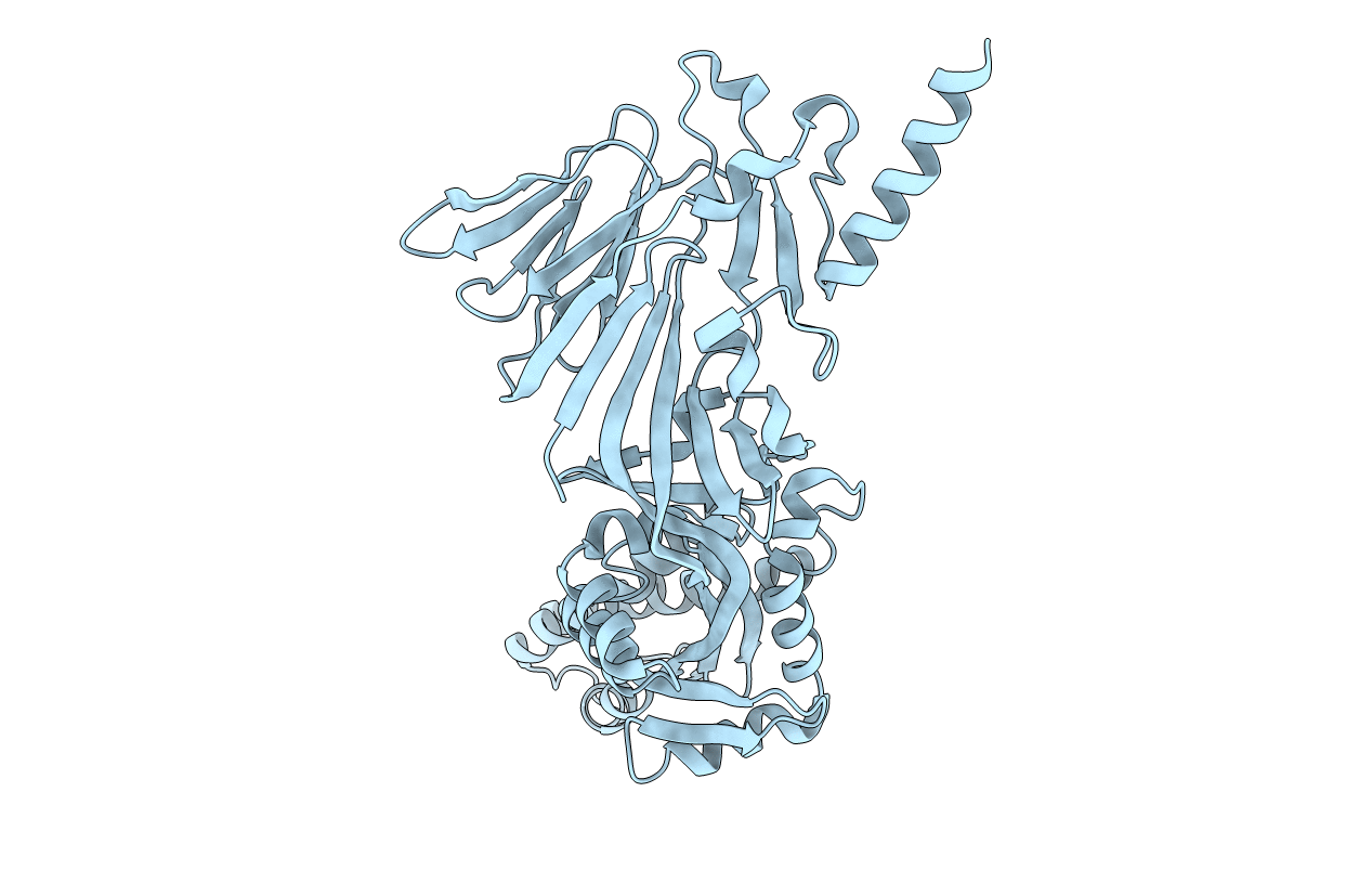 5K6F image