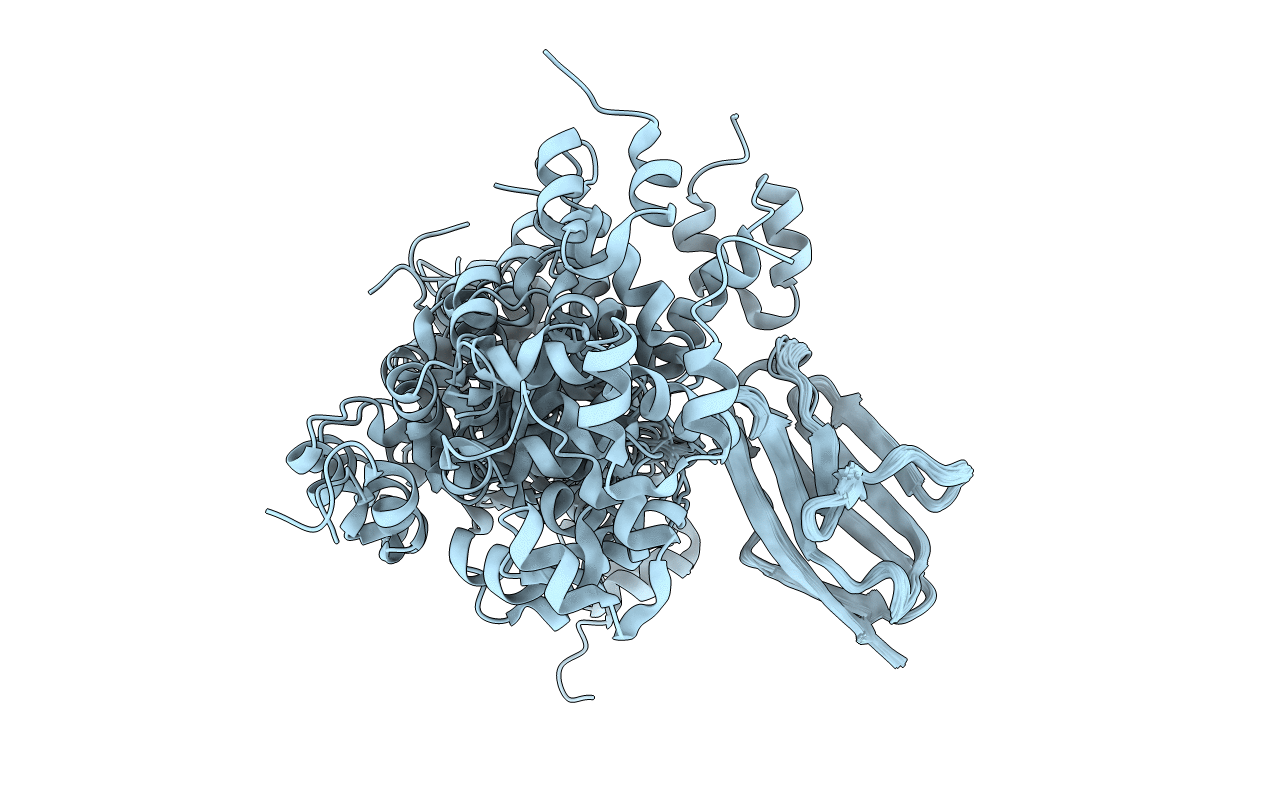 5K6P image