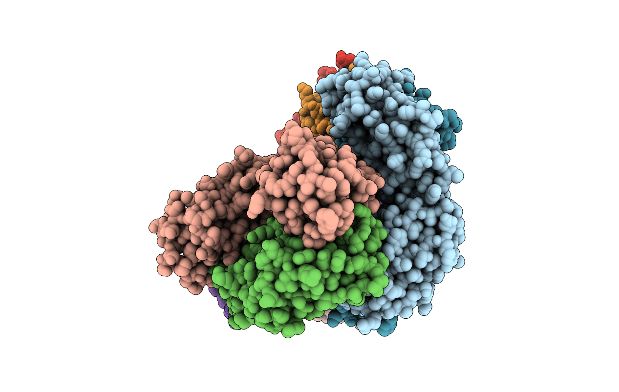 5K8A image