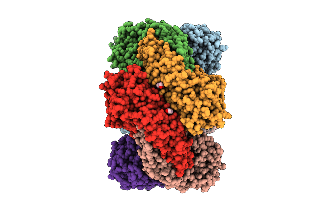 5K8P image