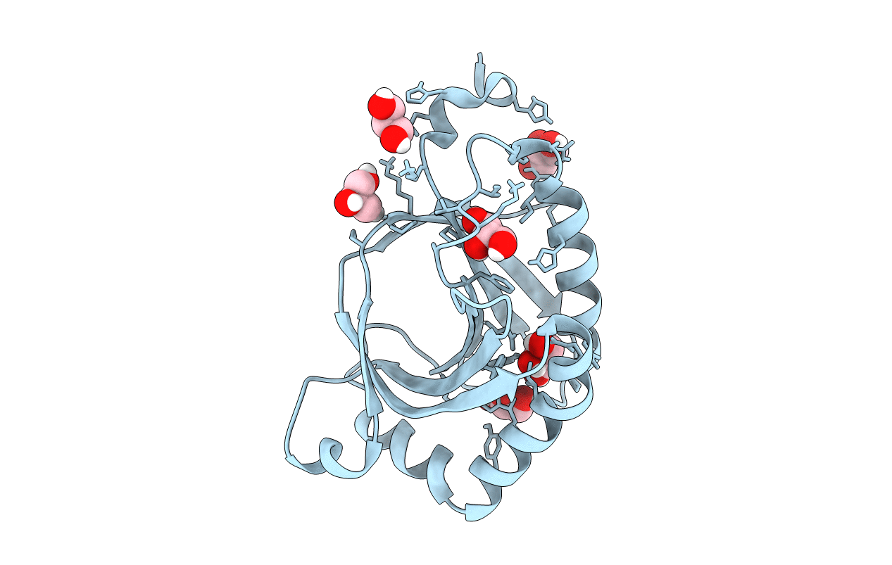5KAV image