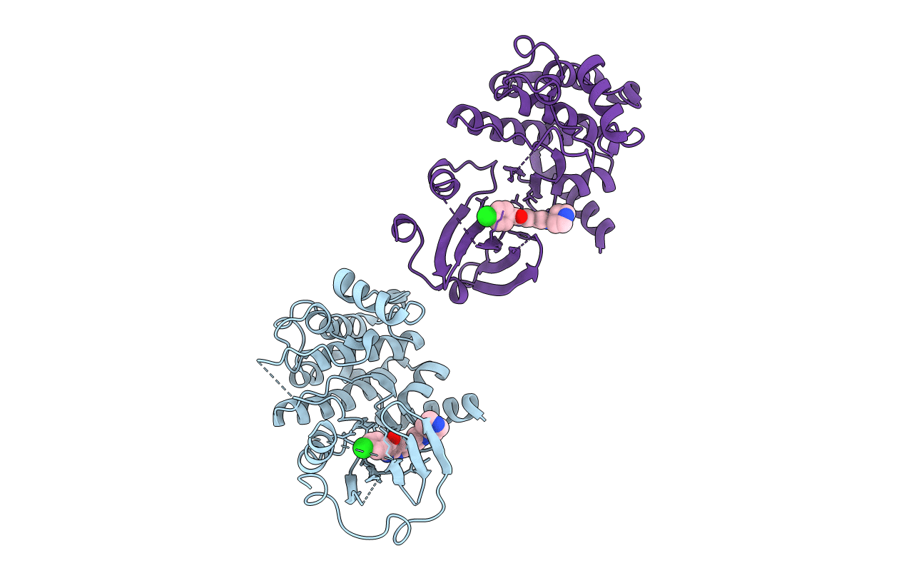 5KBR image