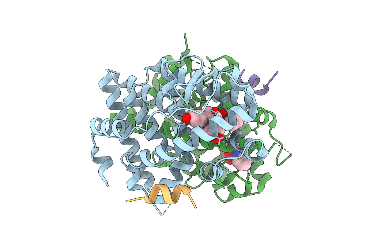 5KCC image