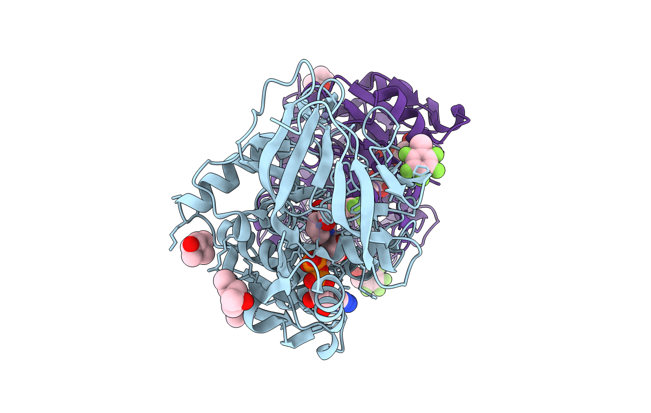 5KCP image