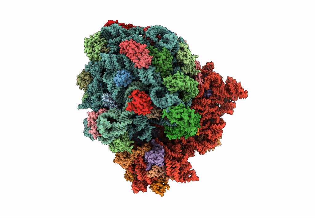 5KCR image