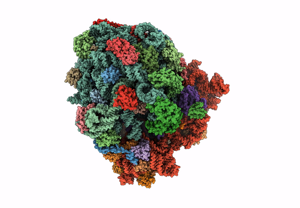 5KCS image