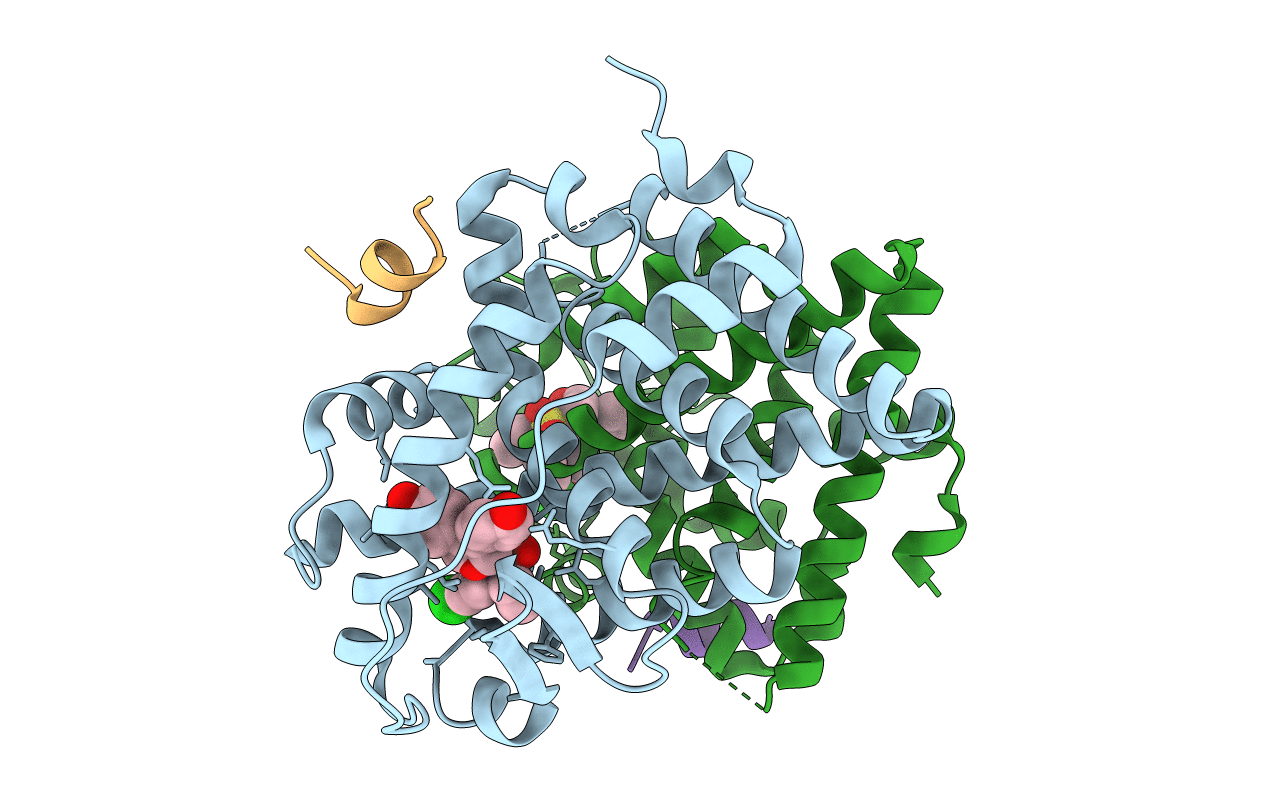 5KCT image