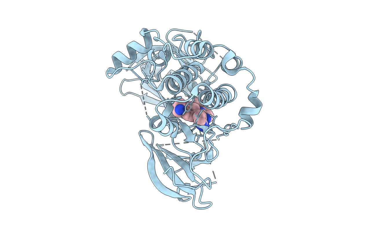 5KCV image