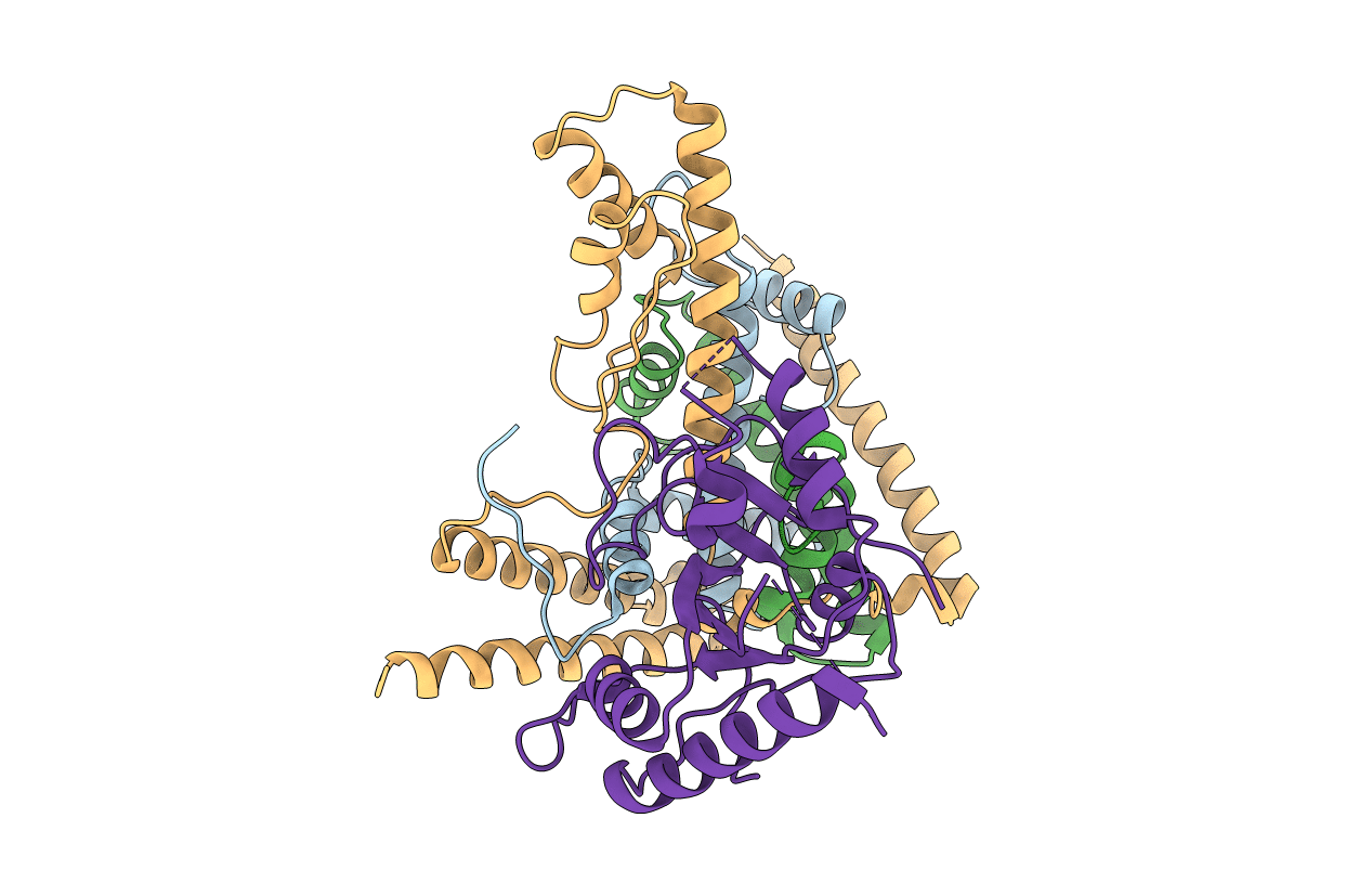 5KDM image