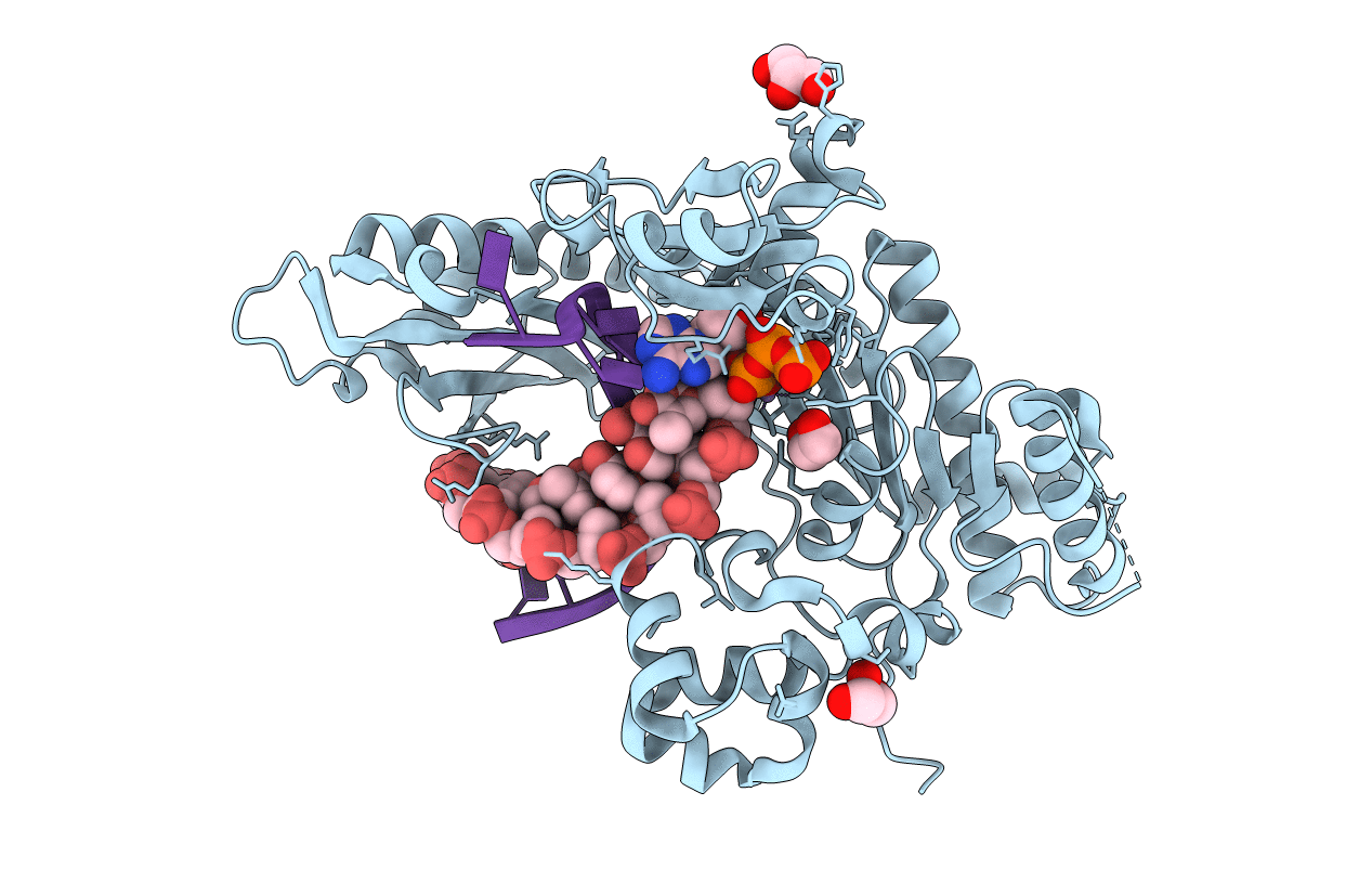 5KFG image