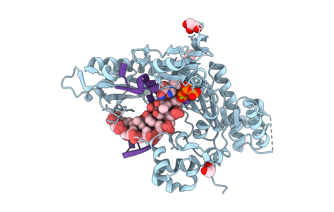5KFW image