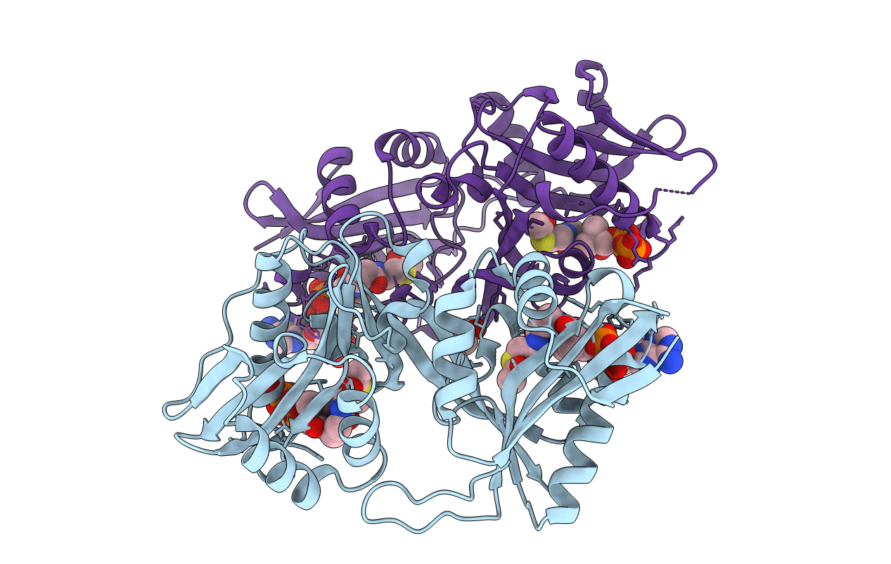 5kgh image