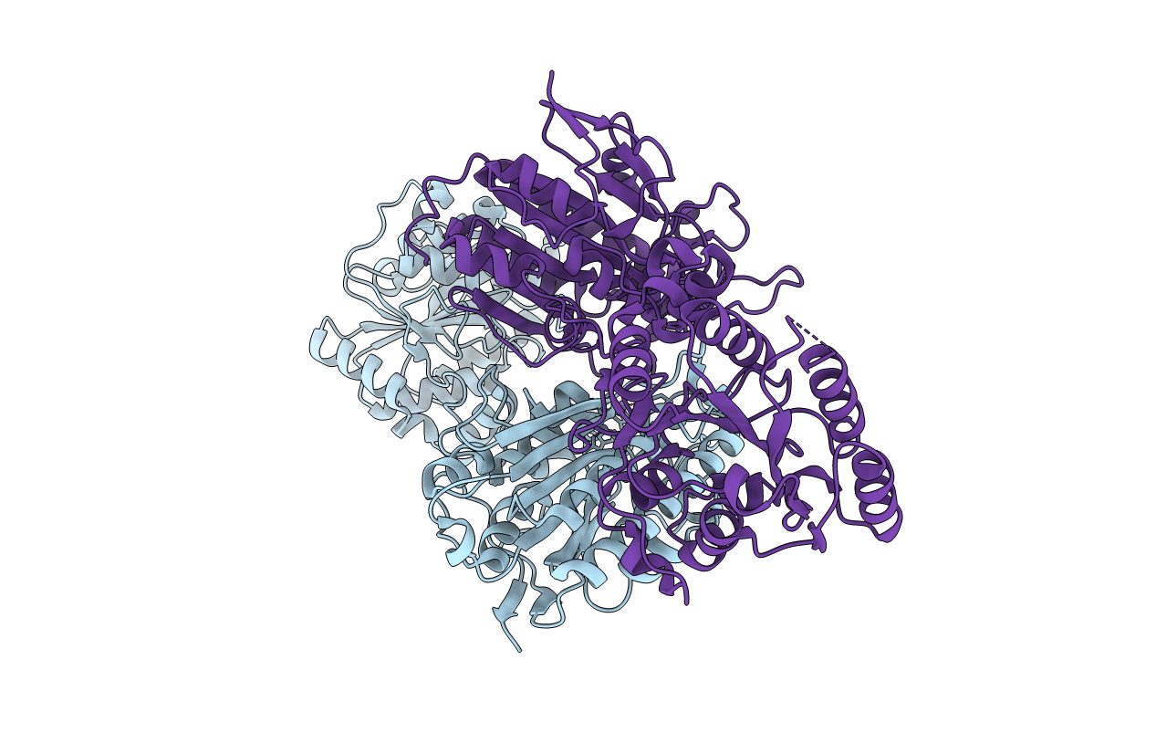 5KGM image