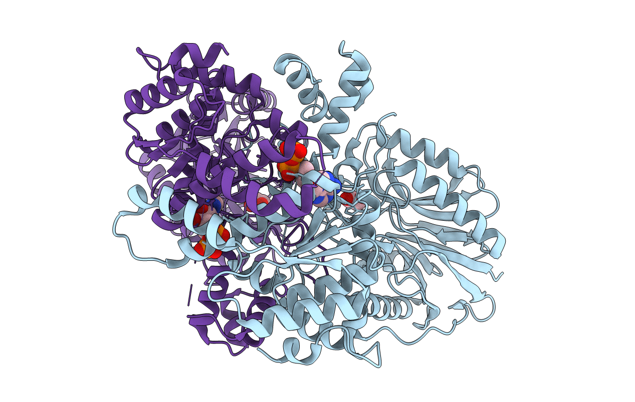5KHA image