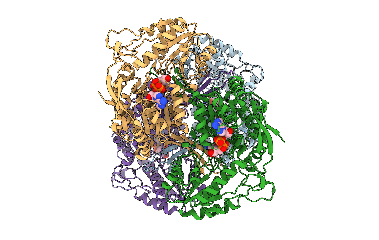5KJ5 image