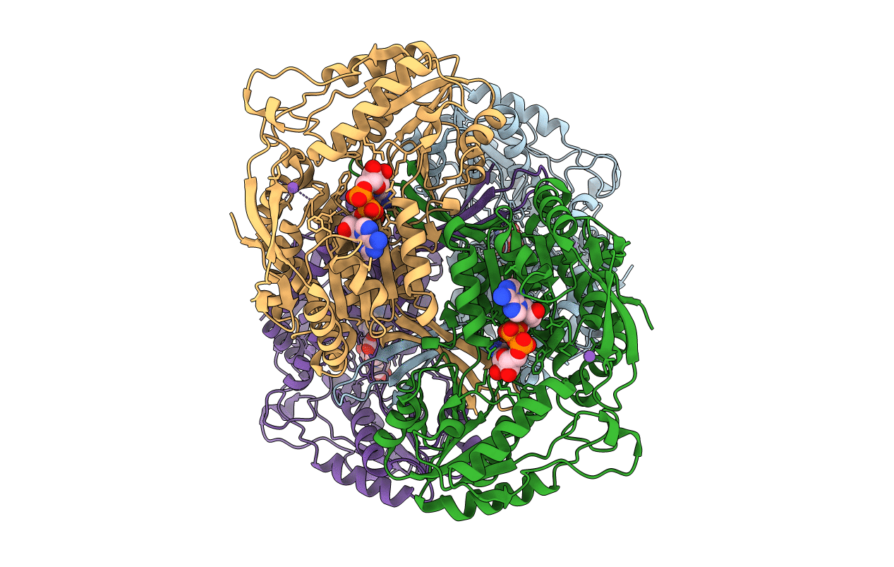 5KLO image