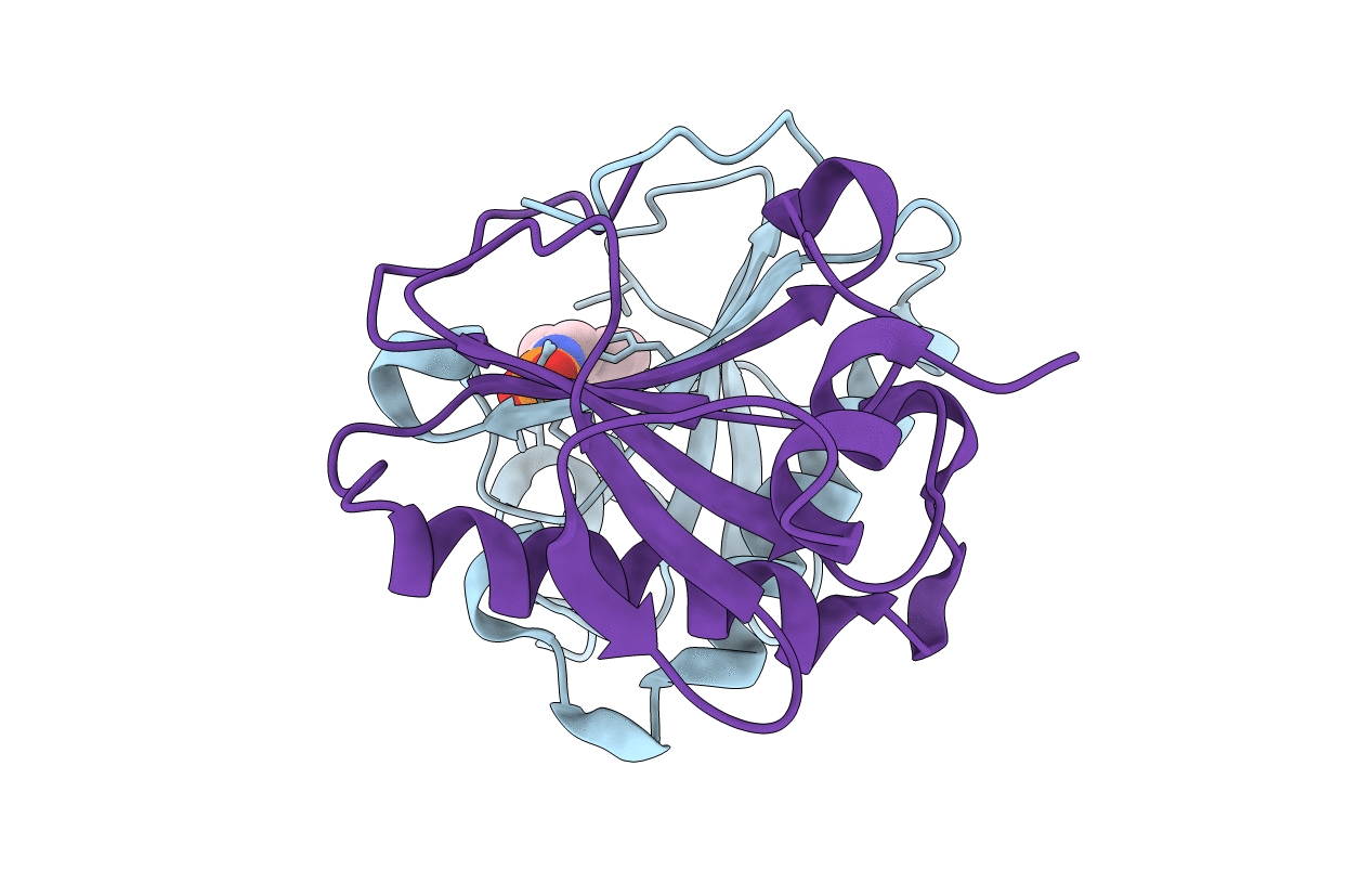 5KMC image
