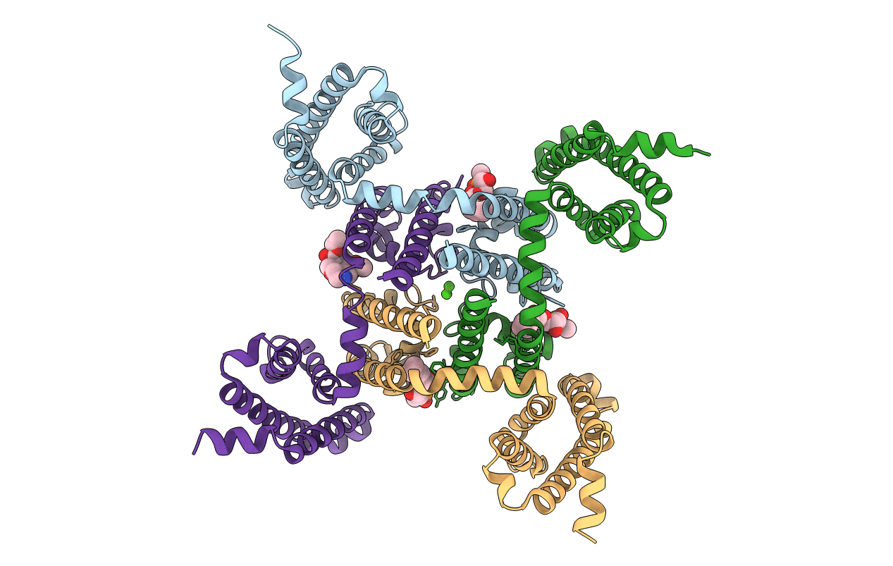 5KMD image