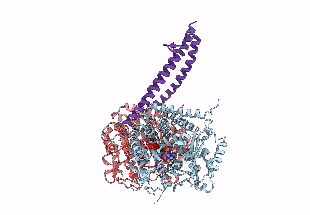 5KMG image