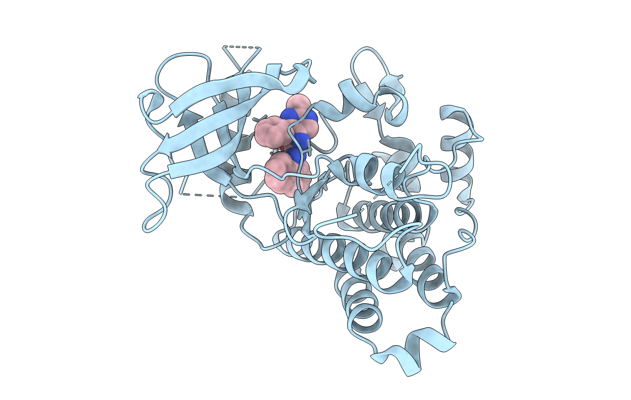 5KMI image