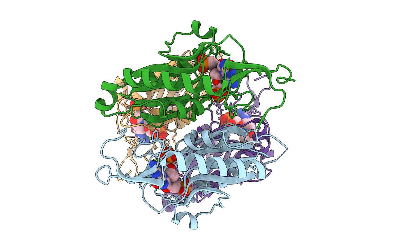 5KNY image