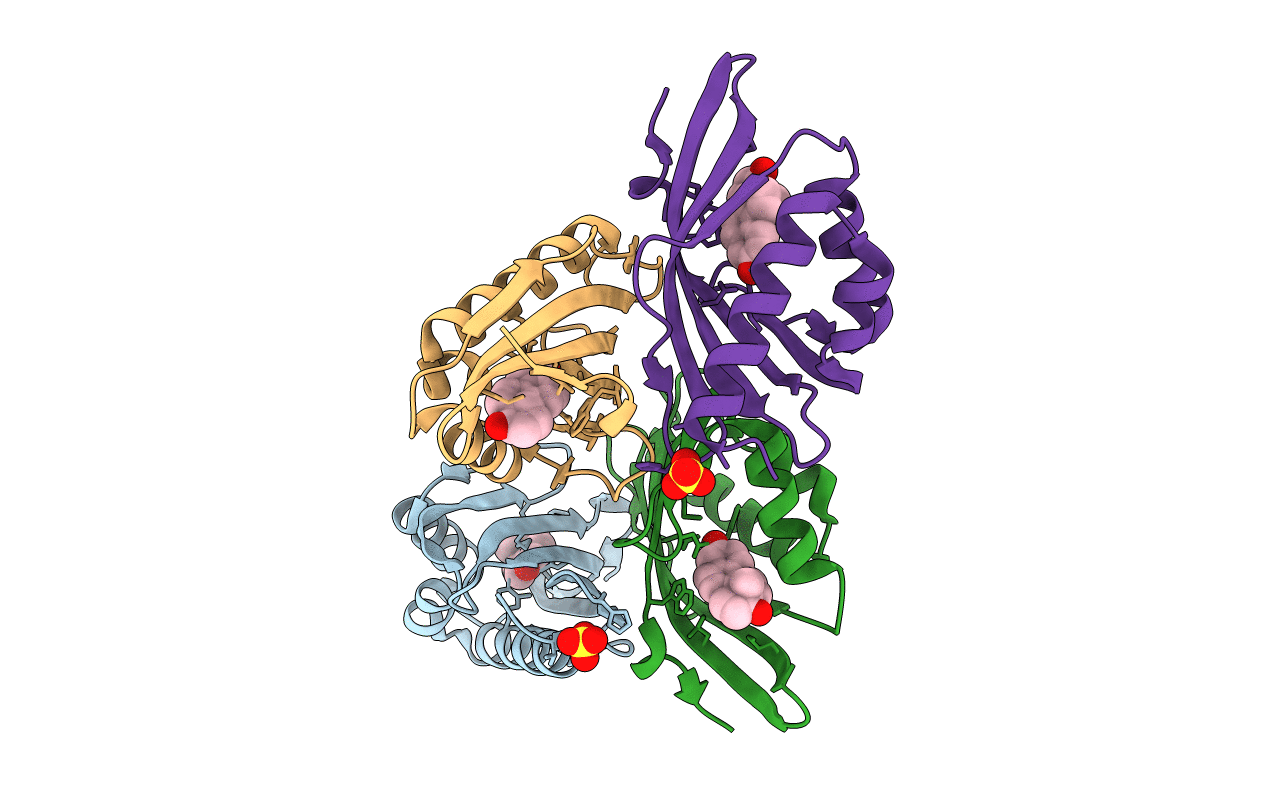 5KP1 image