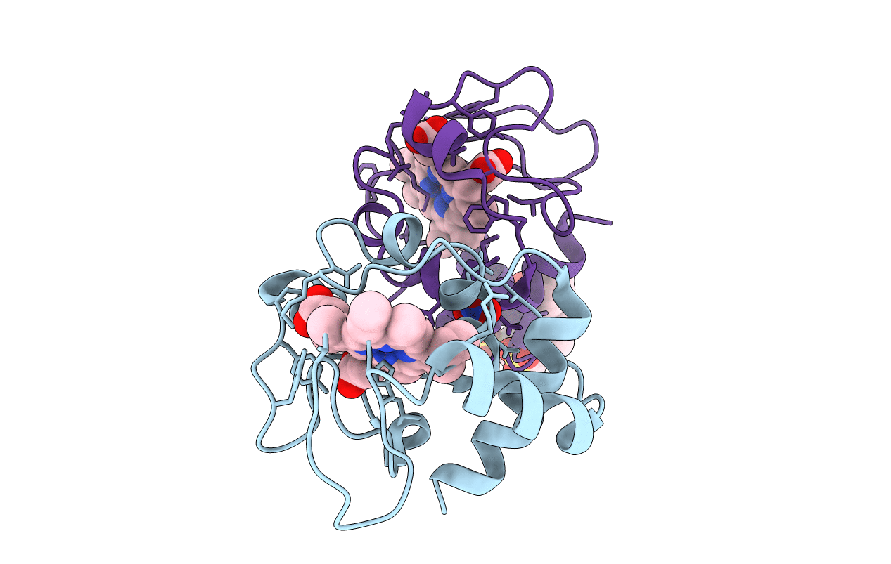 5KPF image