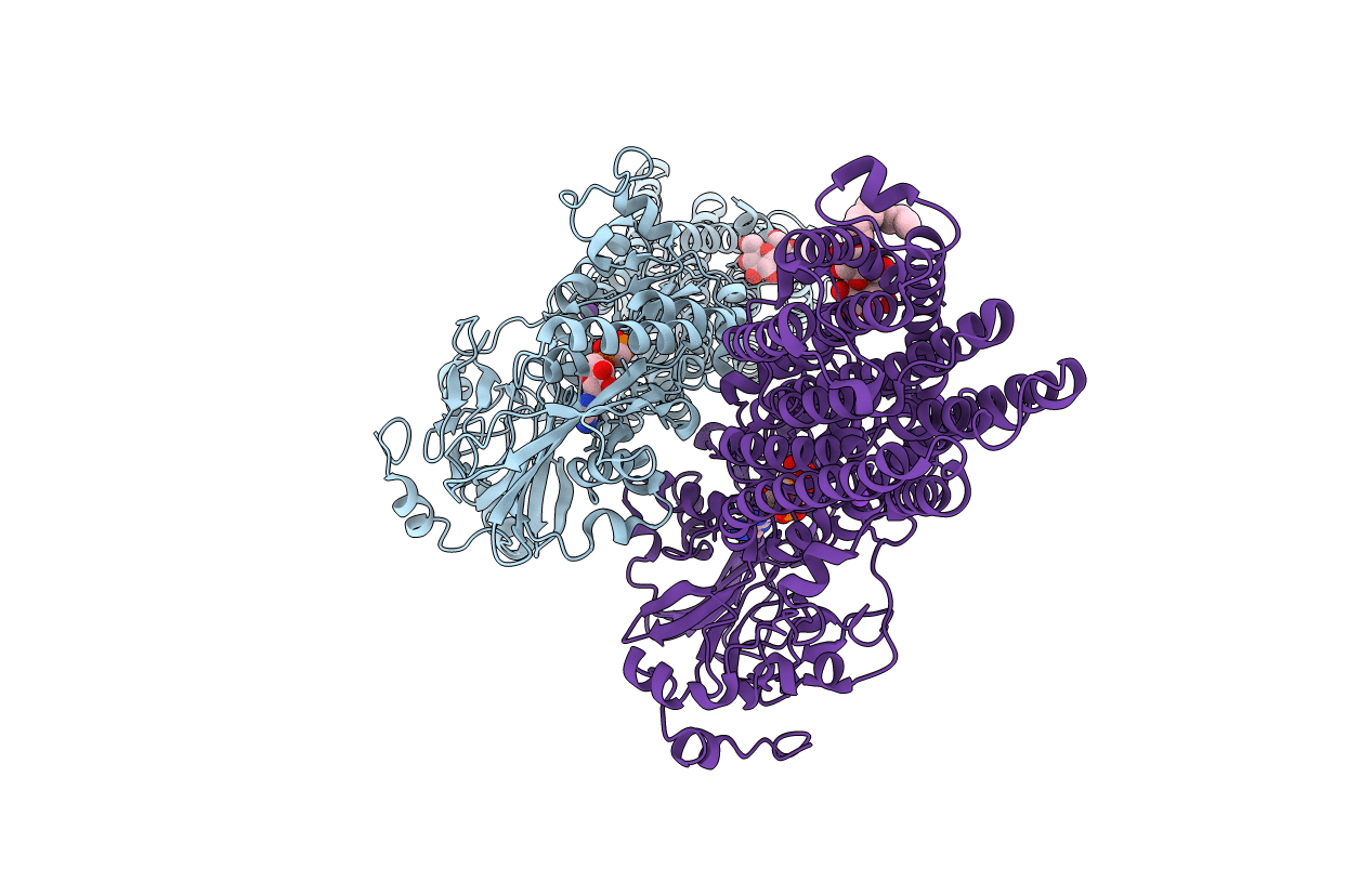 5KSD image