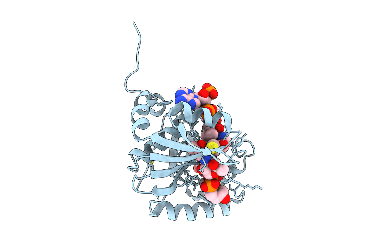 5KTC image