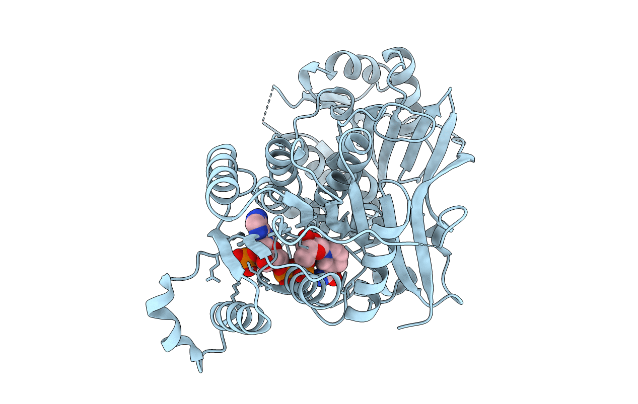 5KTK image